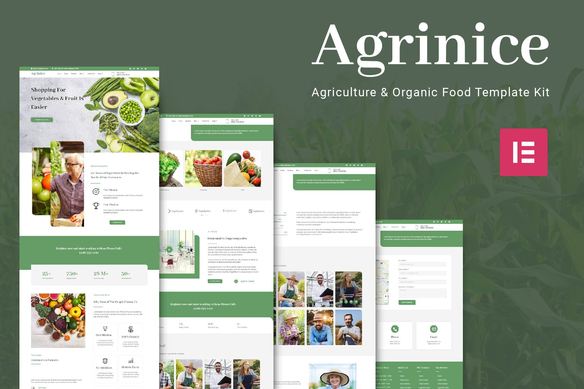 Agrinice - Agriculture & Organic Food Elementor Template Kit template kit cover image