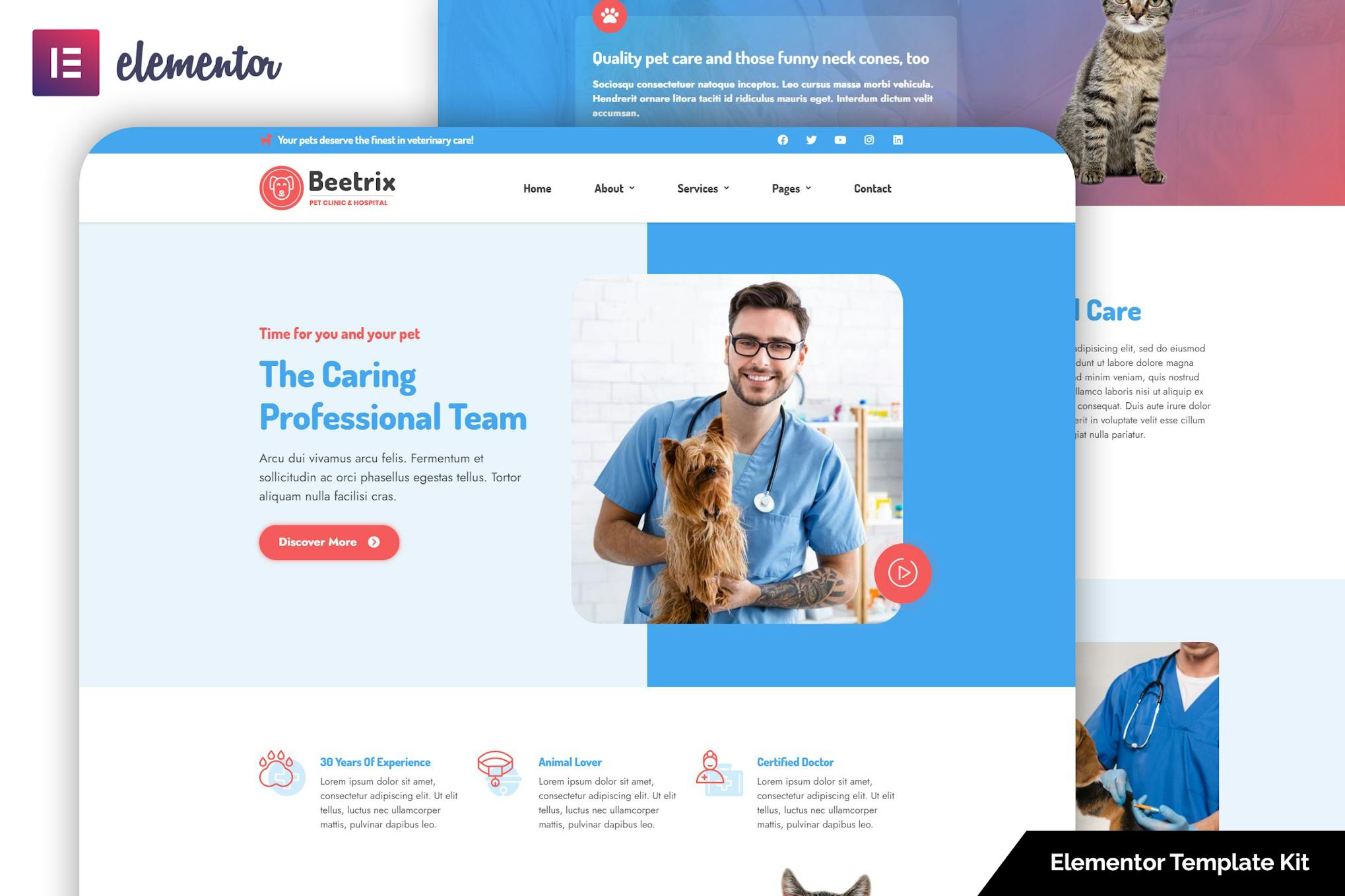 Beetrix - Pet Clinic & Hospital Elementor Template Kit template kit cover image