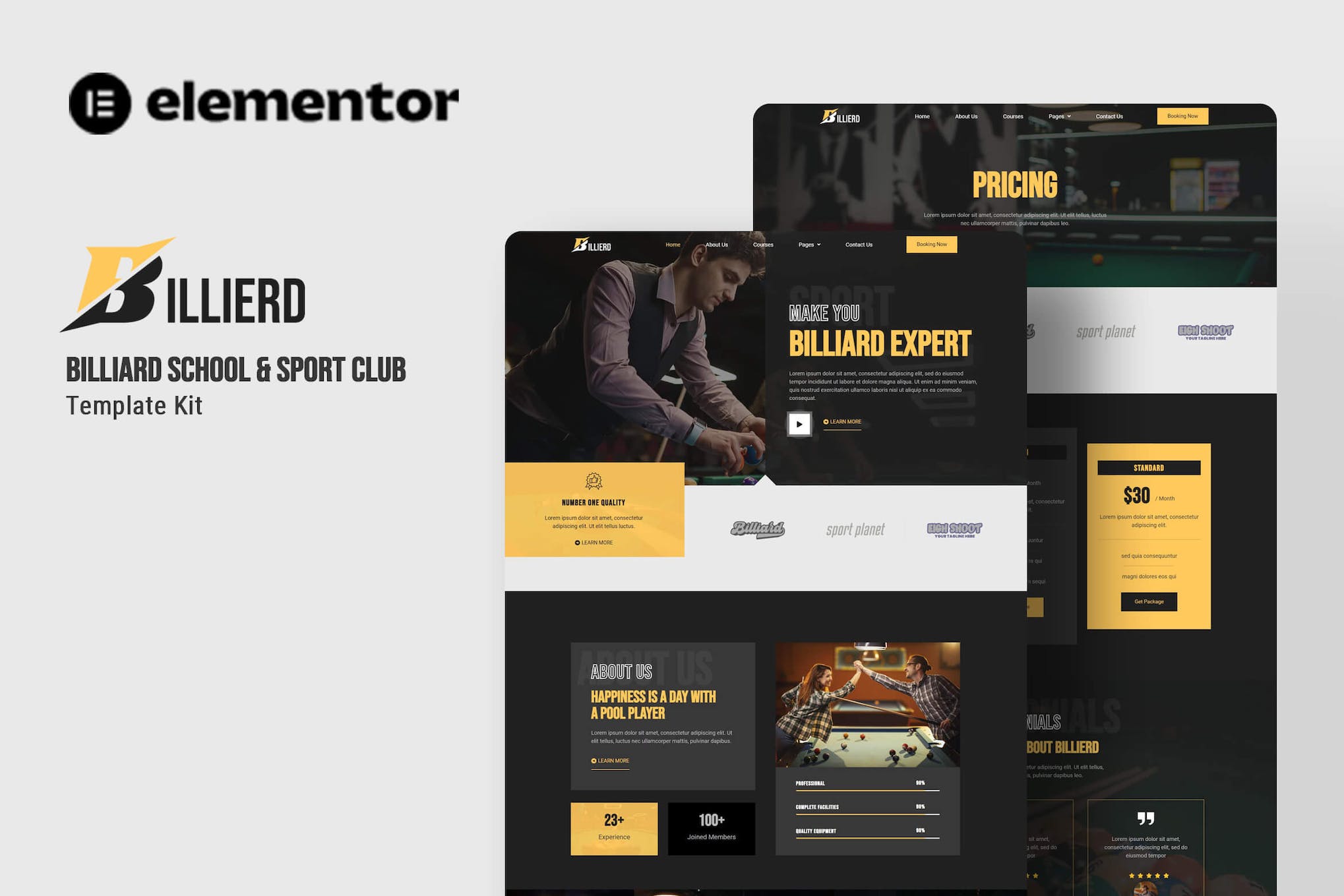 Billierd - Billiard School & Sport Club Elementor Template Kit template kit cover image