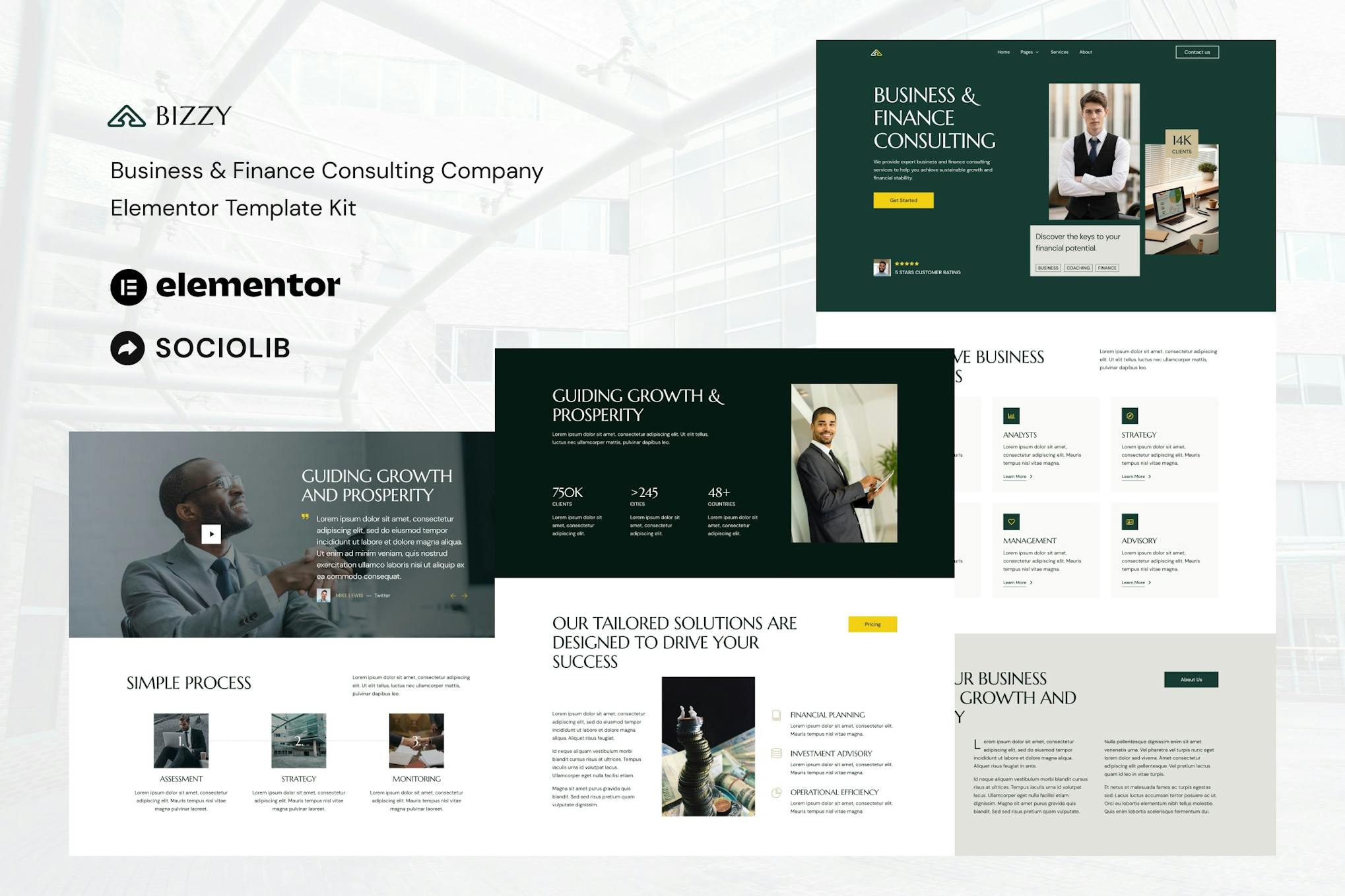 Bizzy - Business & Finance Consulting Company Elementor Template Kit template kit cover image