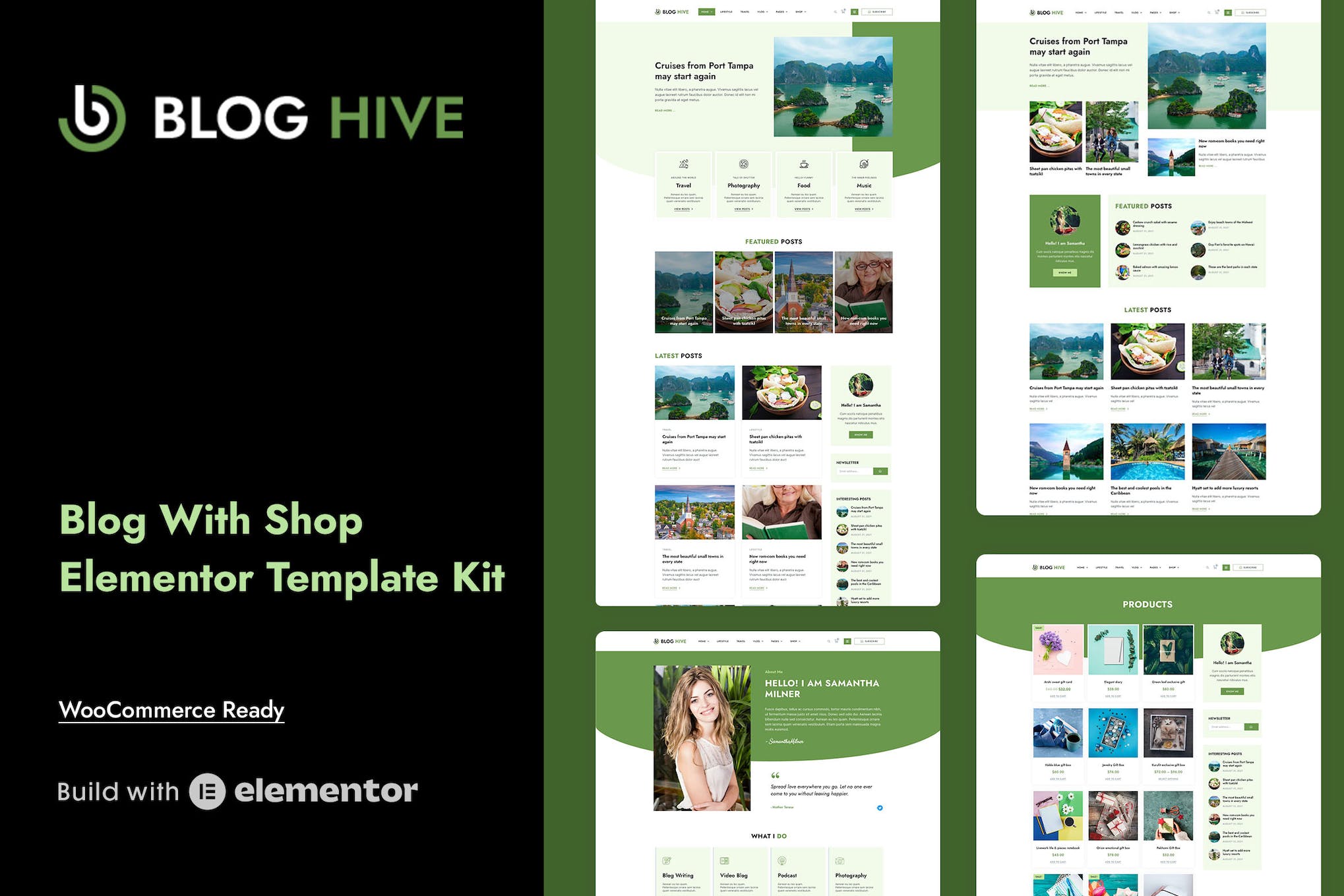 Blog Hive - Personal Blog Elementor Template Kit template kit cover image