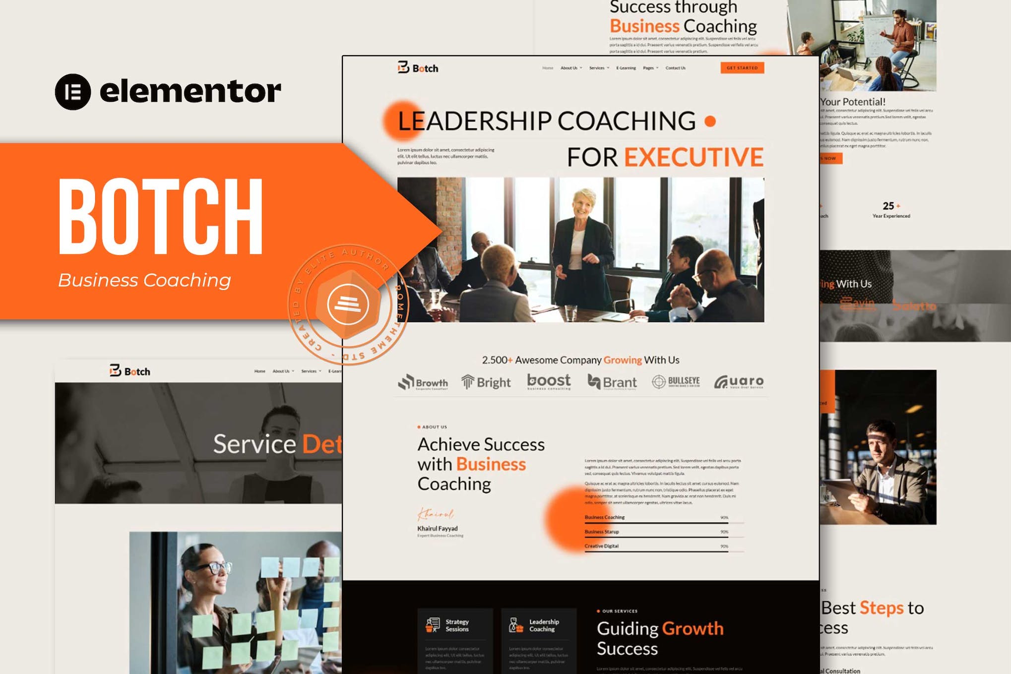 Botch - Business Coaching Elementor Template Kit template kit cover image
