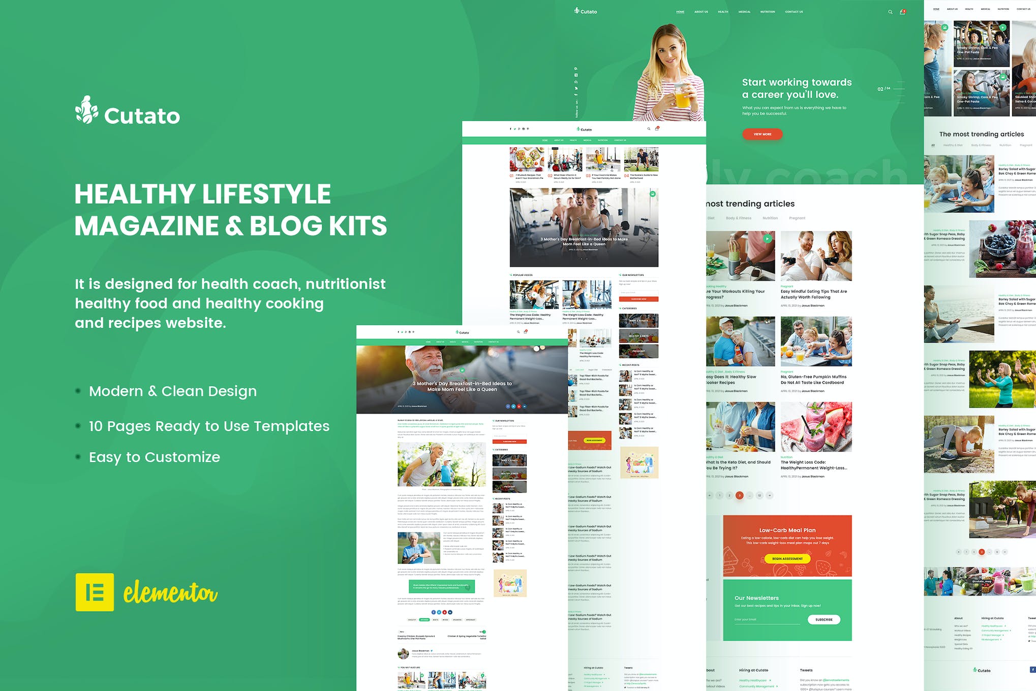 Cutato - Healthy Lifestyle Magazine & Blog Elementor Template Kit template kit cover image