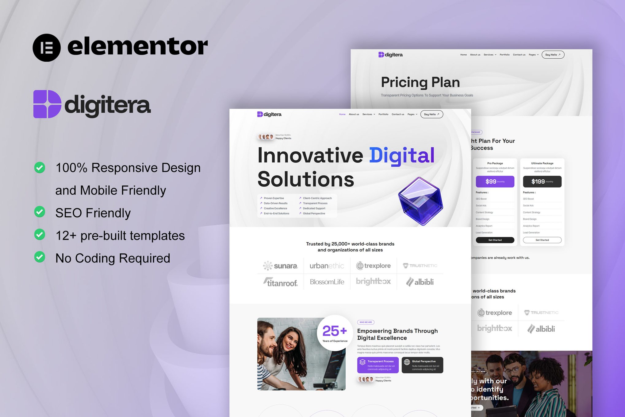 Digitera - Digital Agency Elementor Pro Template Kit template kit cover image