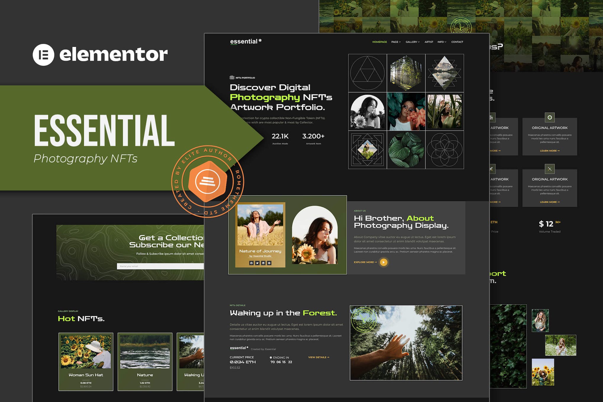 Essential - Photography NFT Portfolio Elementor Template Kit template kit cover image