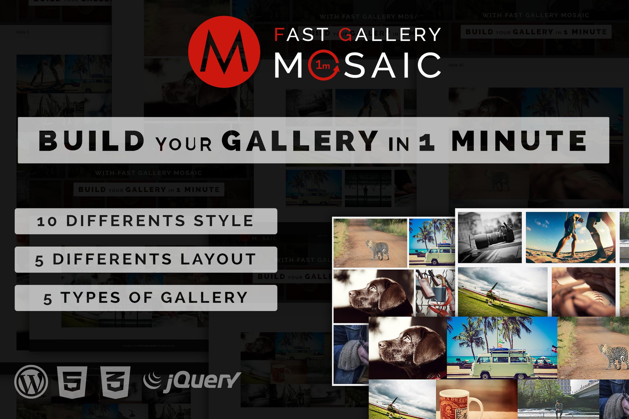 Fast Gallery Mosaic - Wordpress Plugin plugin cover image