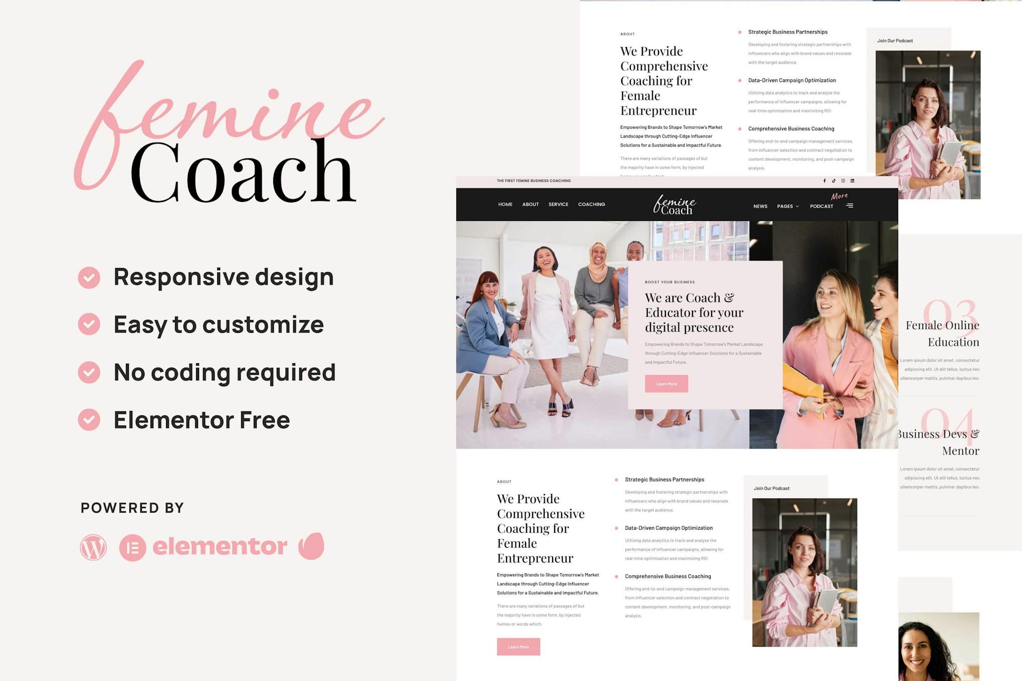 Femine - Feminine Business Coach Elementor Template Kit template kit cover image