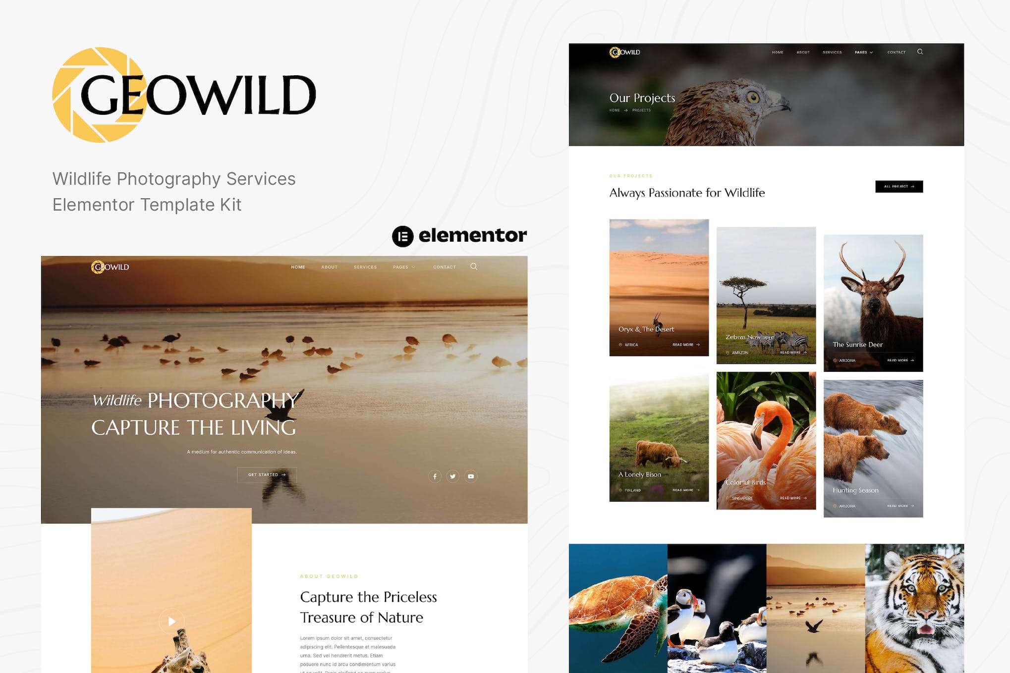 Geowild - Wildlife Photography Services Elementor Template Kit template kit cover image