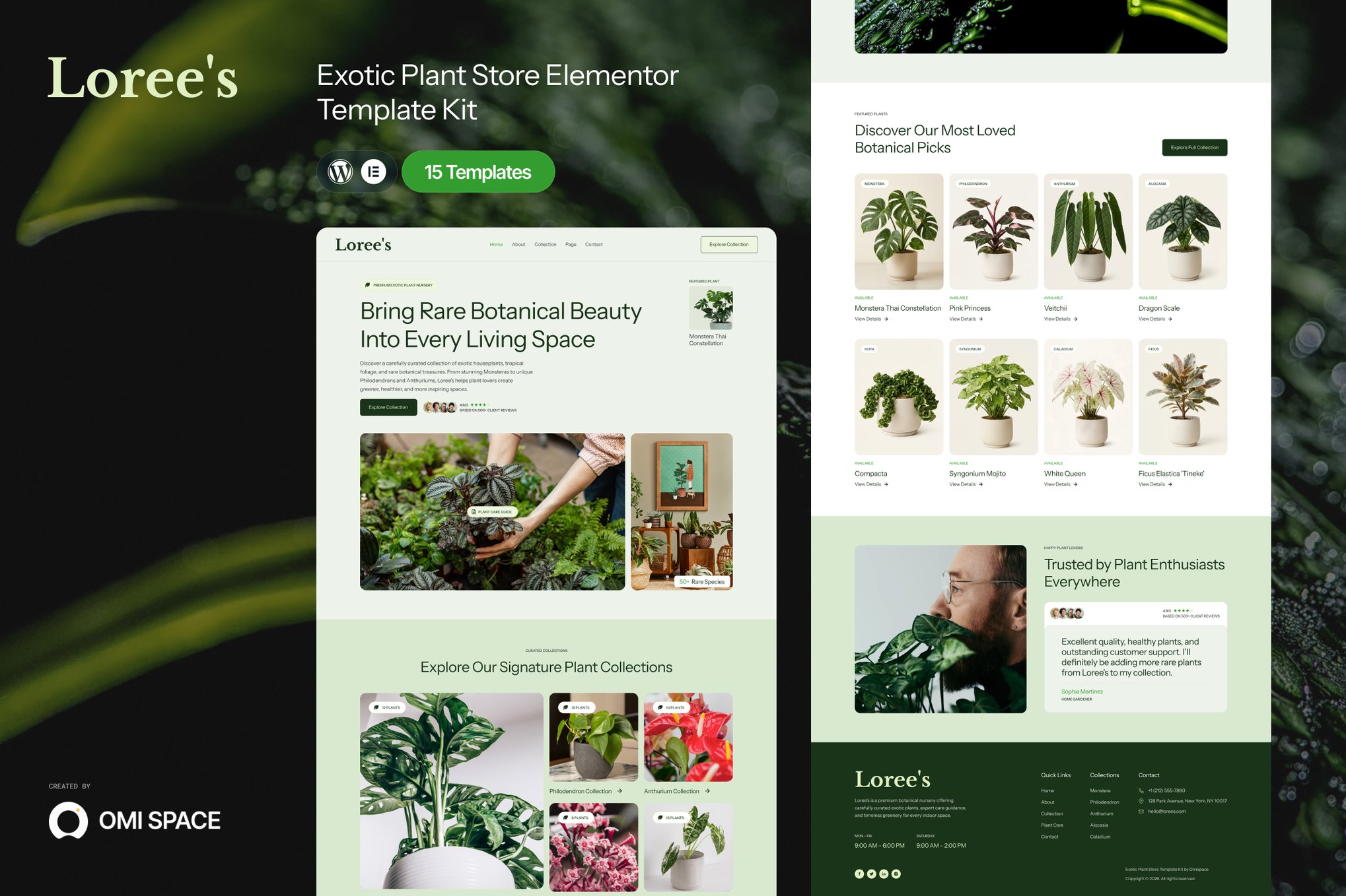 Loree's – Exotic Plant Boutique Elementor Template Kit template kit cover image