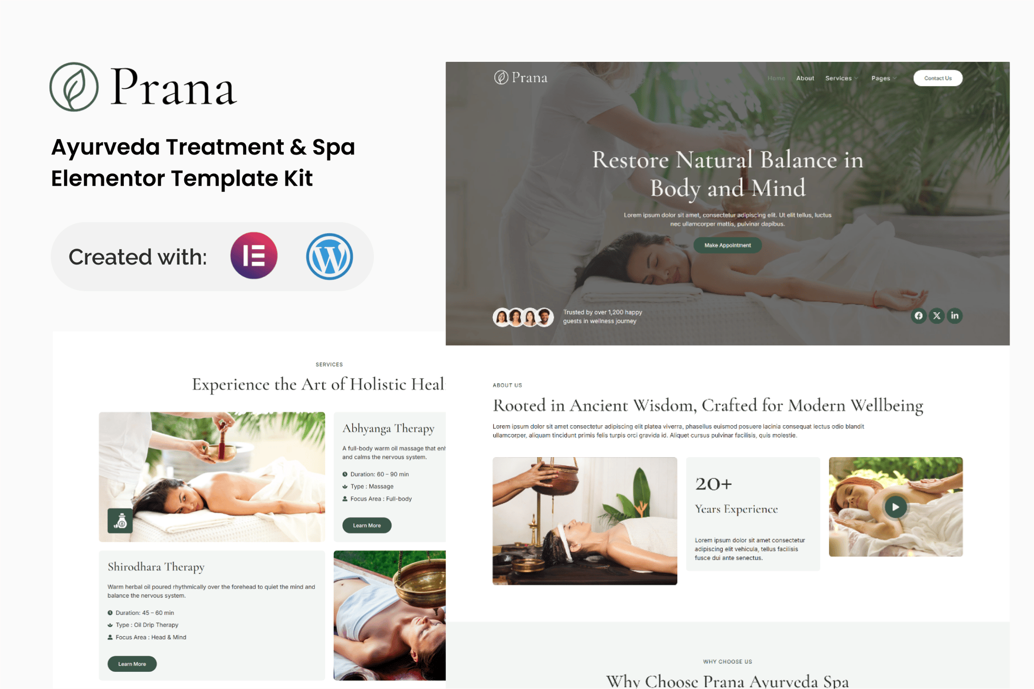 Prana - Ayurveda Treatment & Spa Elementor Template Kit template kit cover image