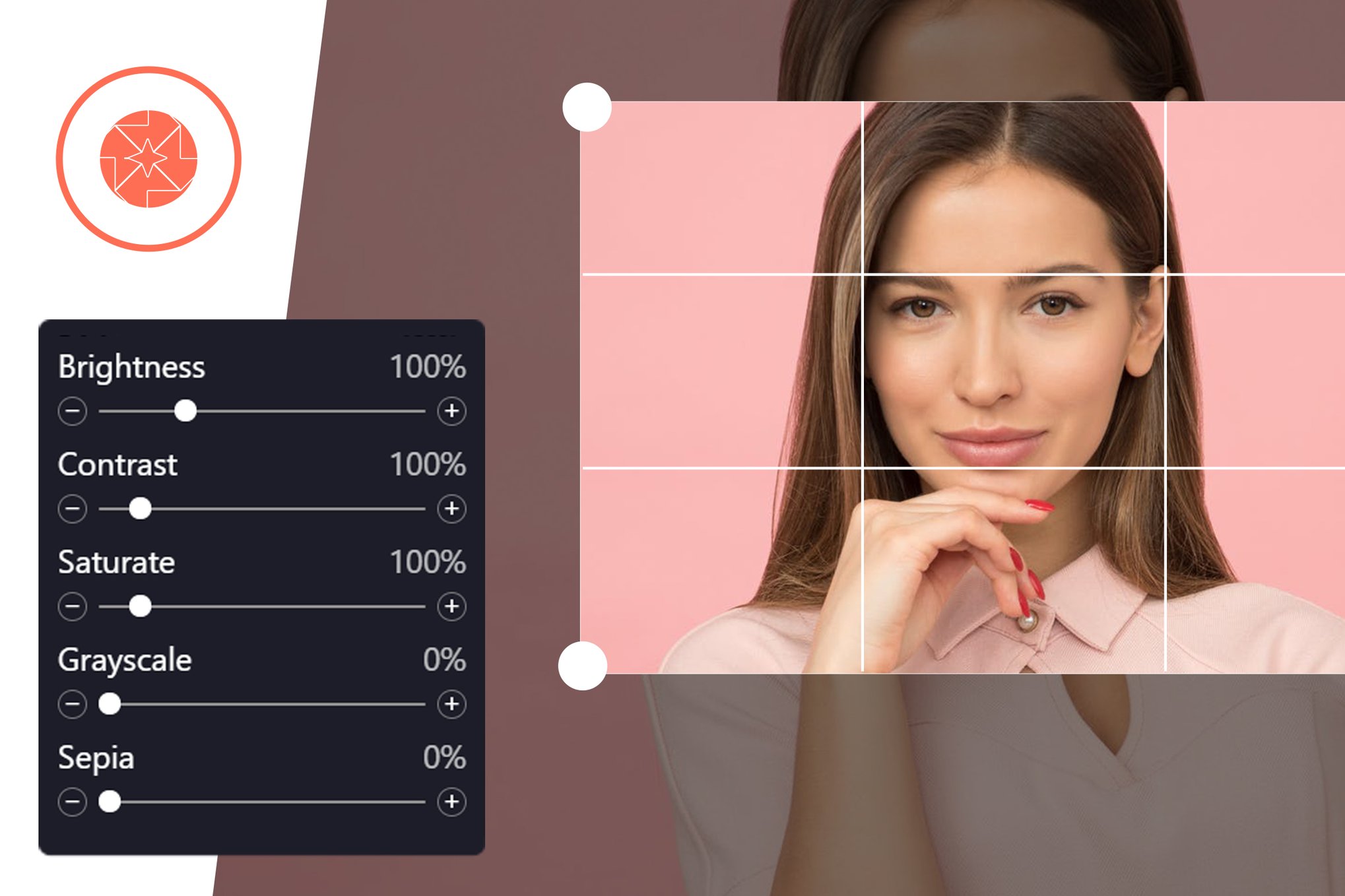 ProVision Image Editor for WordPress / WooCommerce plugin cover image