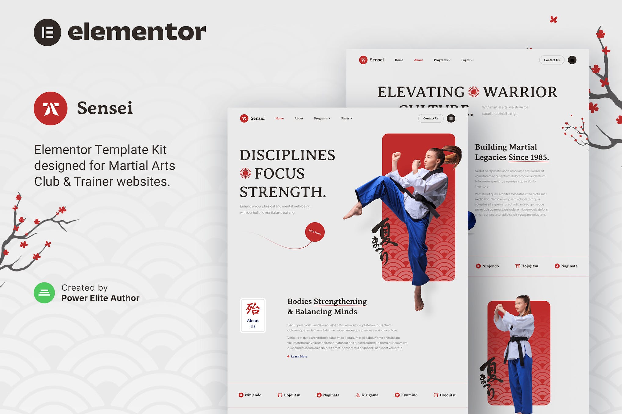 Sensei – Martial Arts Club & Trainer Elementor Template Kit template kit cover image