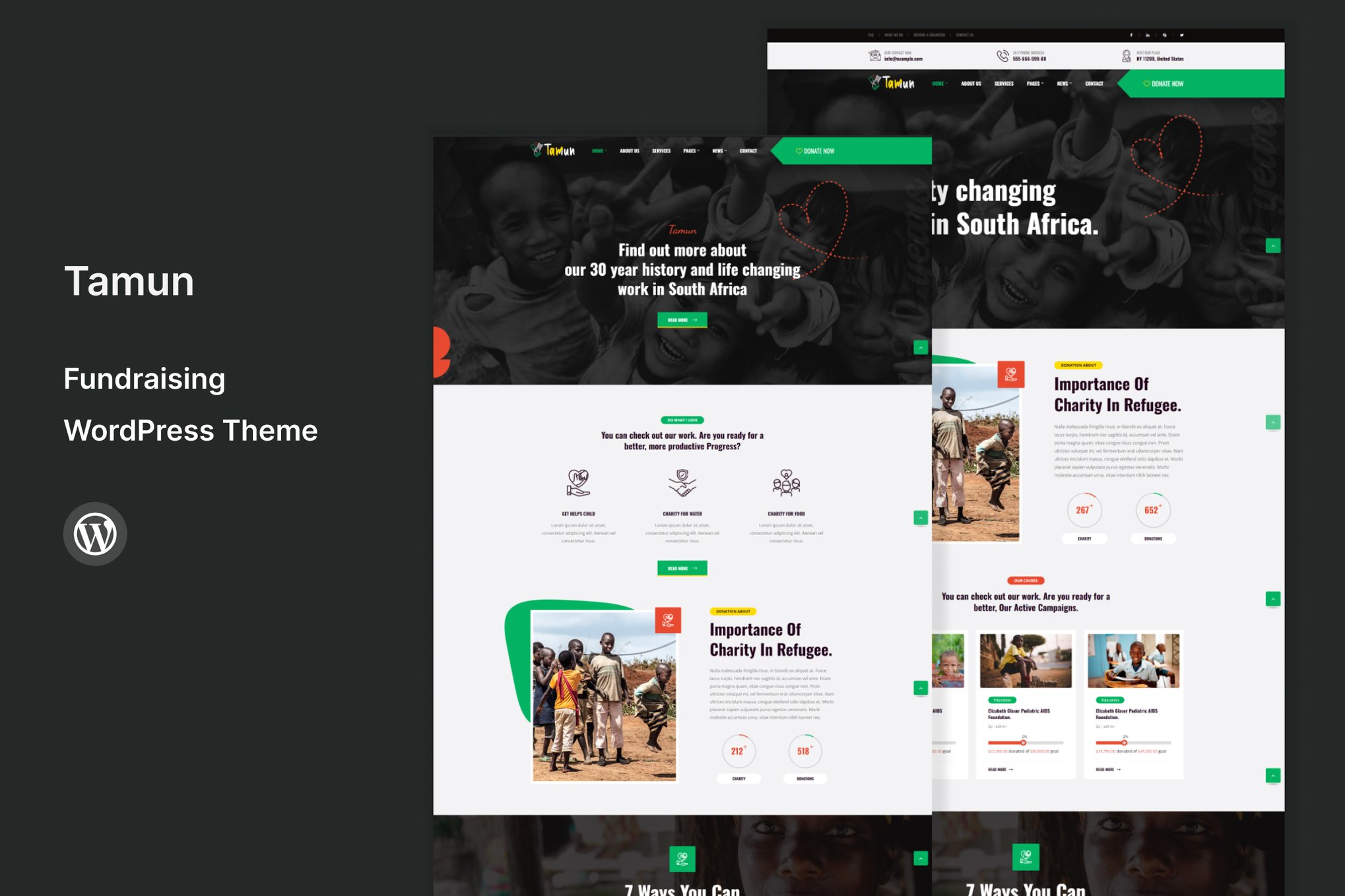 Tamun - Fundraising WordPress Theme theme cover image