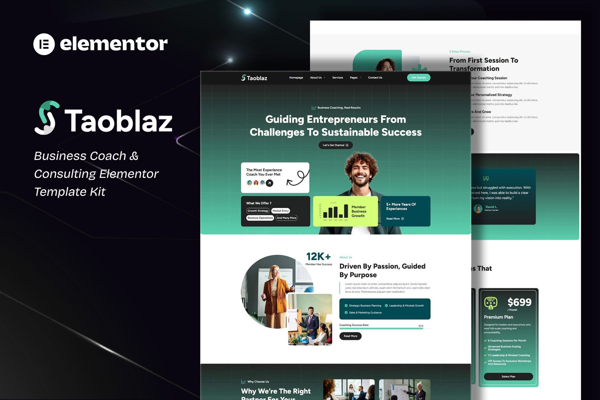 Taoblaz - Business Coach & Consulting Elementor Template Kit template kit cover image