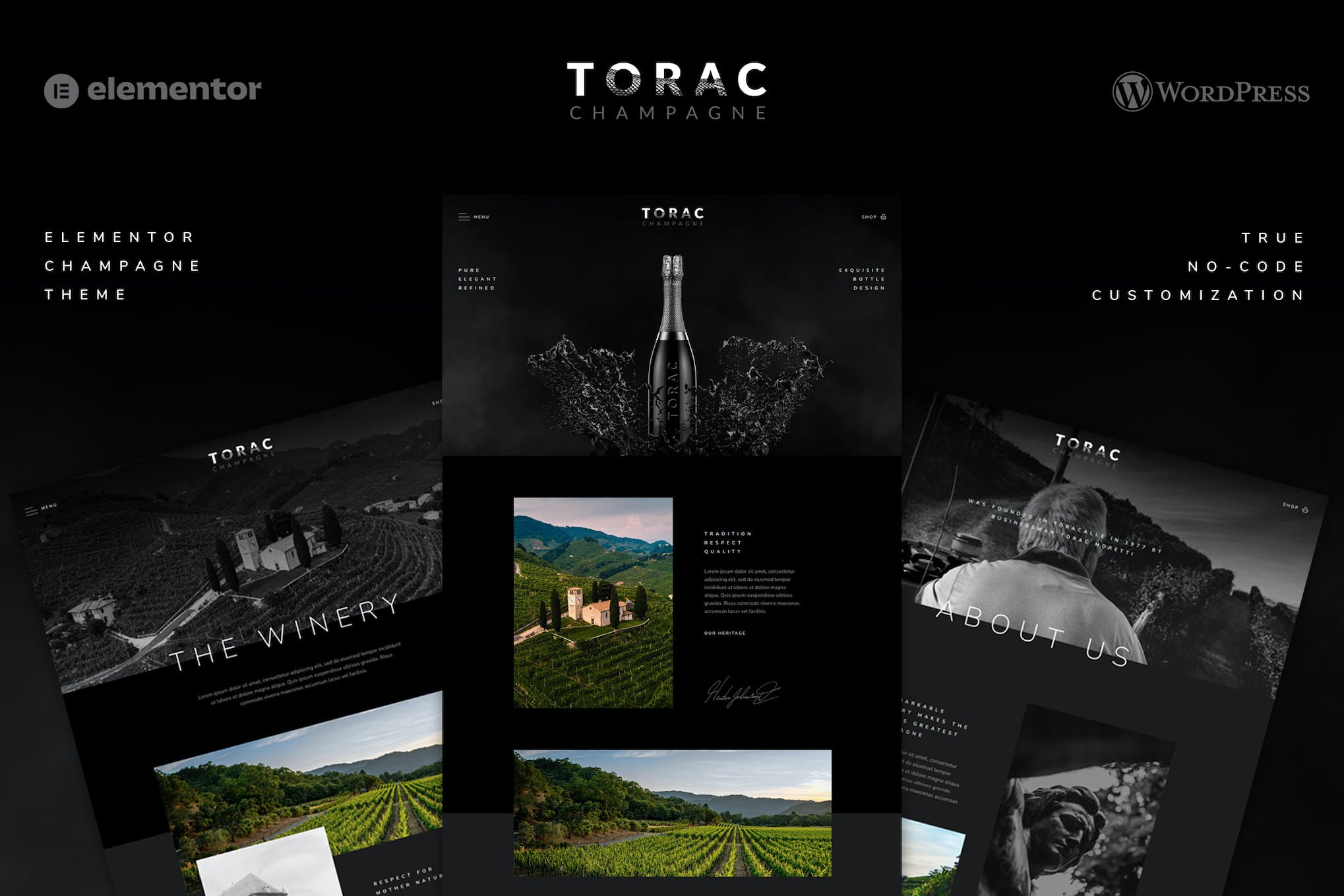 Torac - Champagne Elementor Template Kit template kit cover image