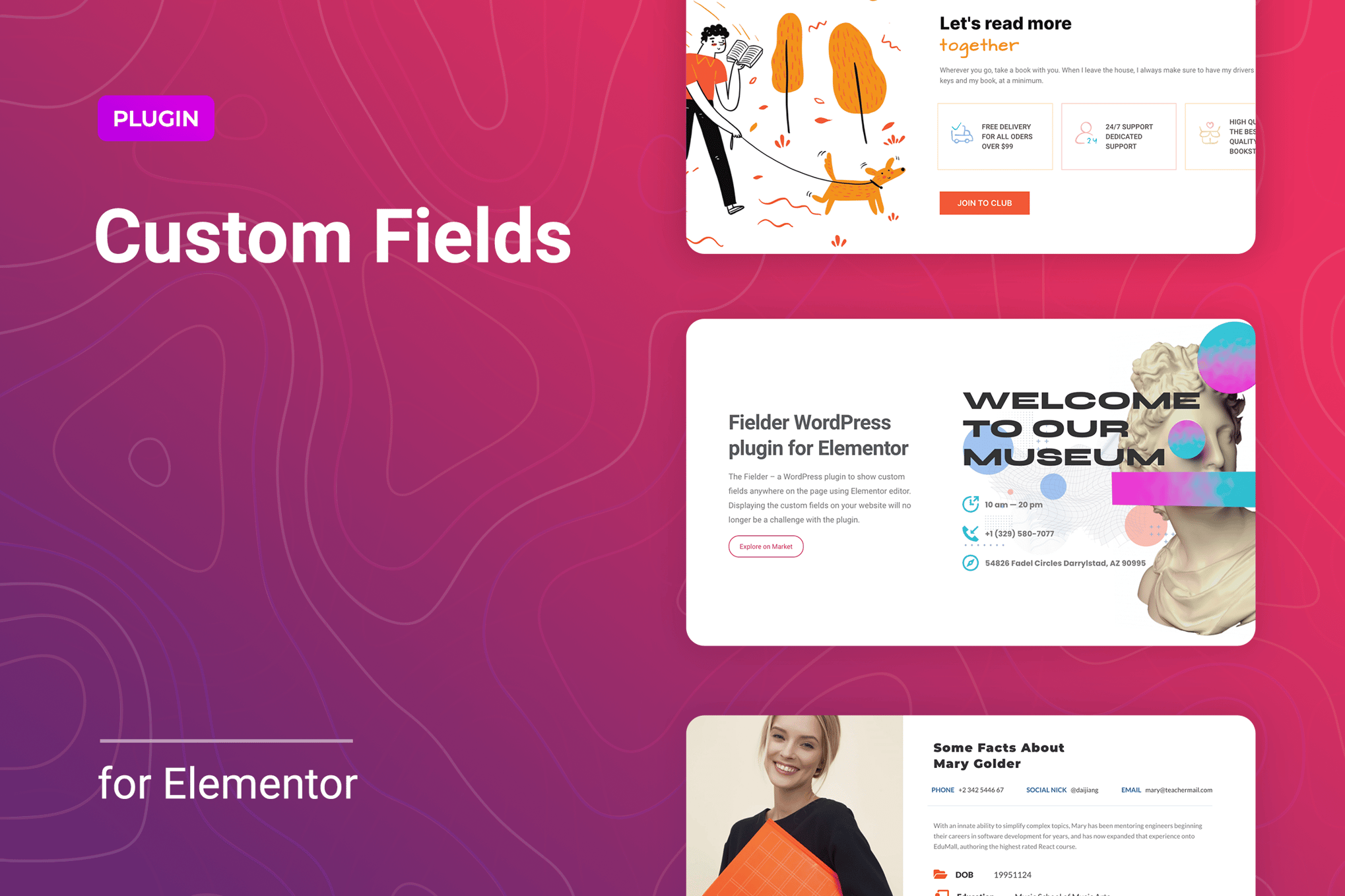 WordPress Custom Fields for Elementor plugin cover image